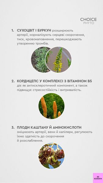 Натуральний фітокомплекс для здоров'я серця та судин "Ритм" 30 капсул Choice рітм фото